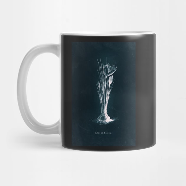 Cyanotype - Crocus Sativus by PixelHunter